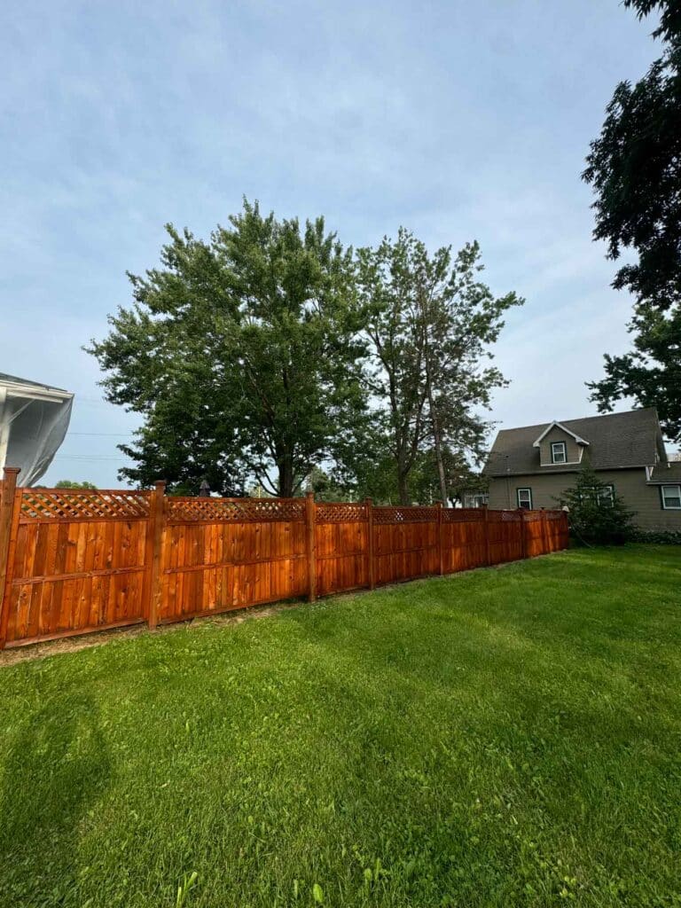 Fence Staining A Fence That Has Been Recently Stained In A Yard